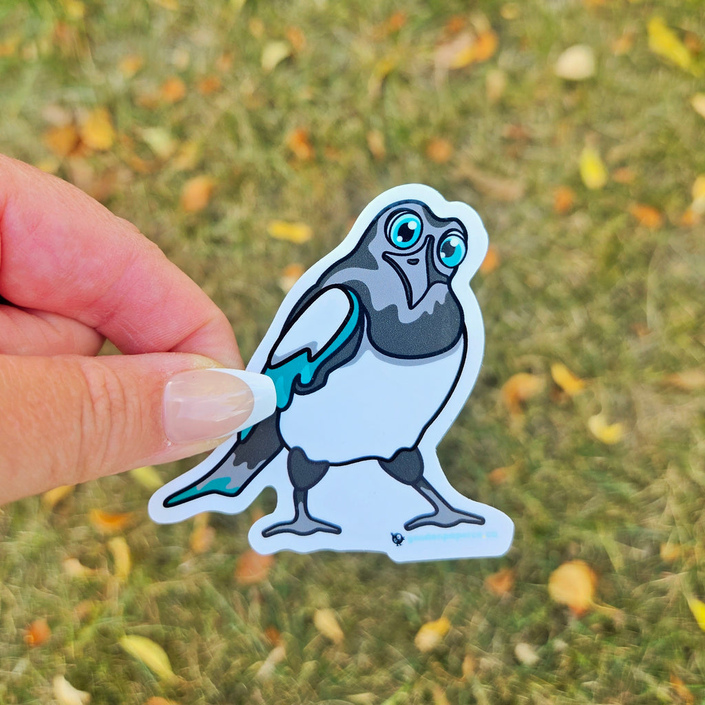 Mystified Magpie | Vinyl Sticker