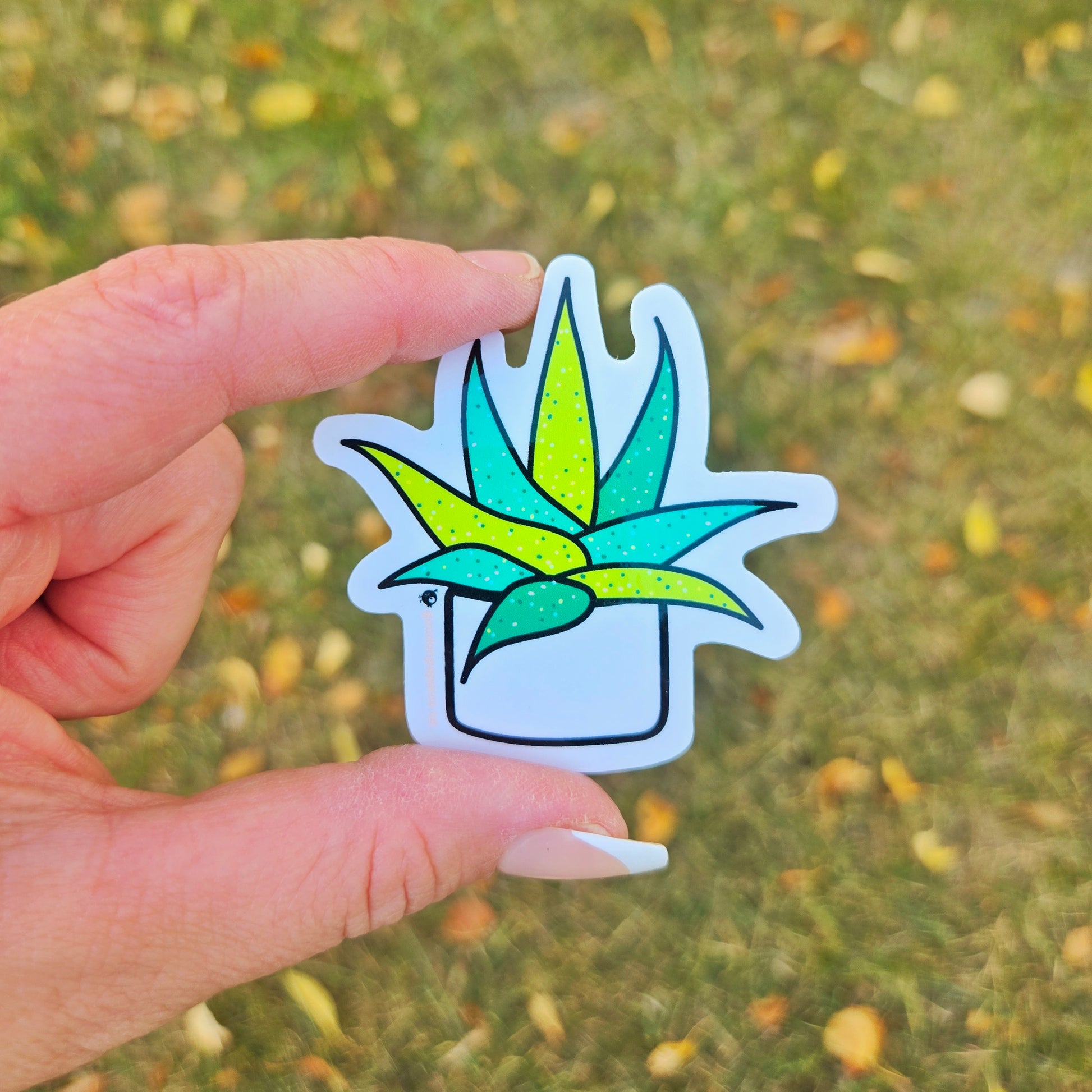 Succulent | Vinyl Sticker