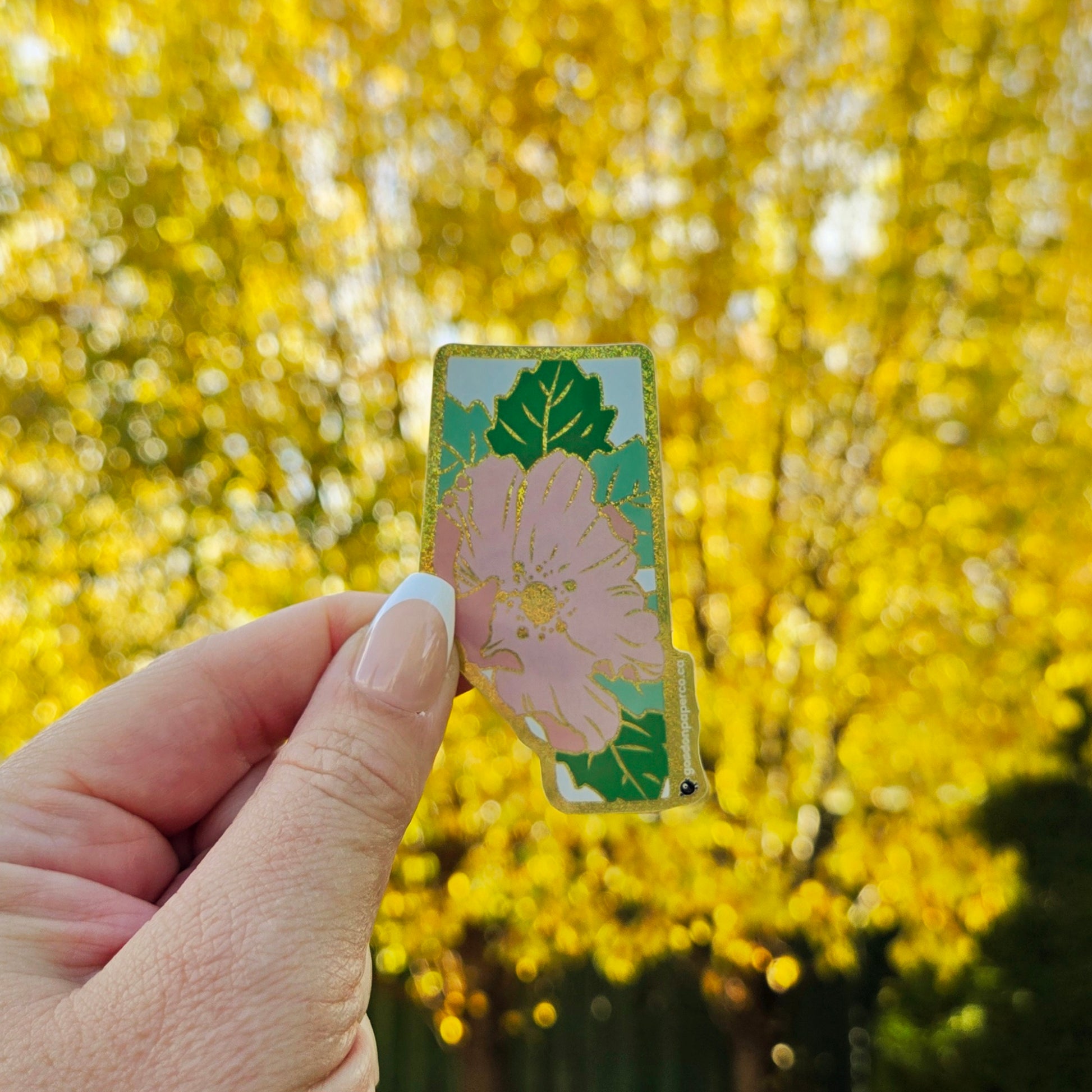 Alberta Wild Rose | Vinyl Sticker