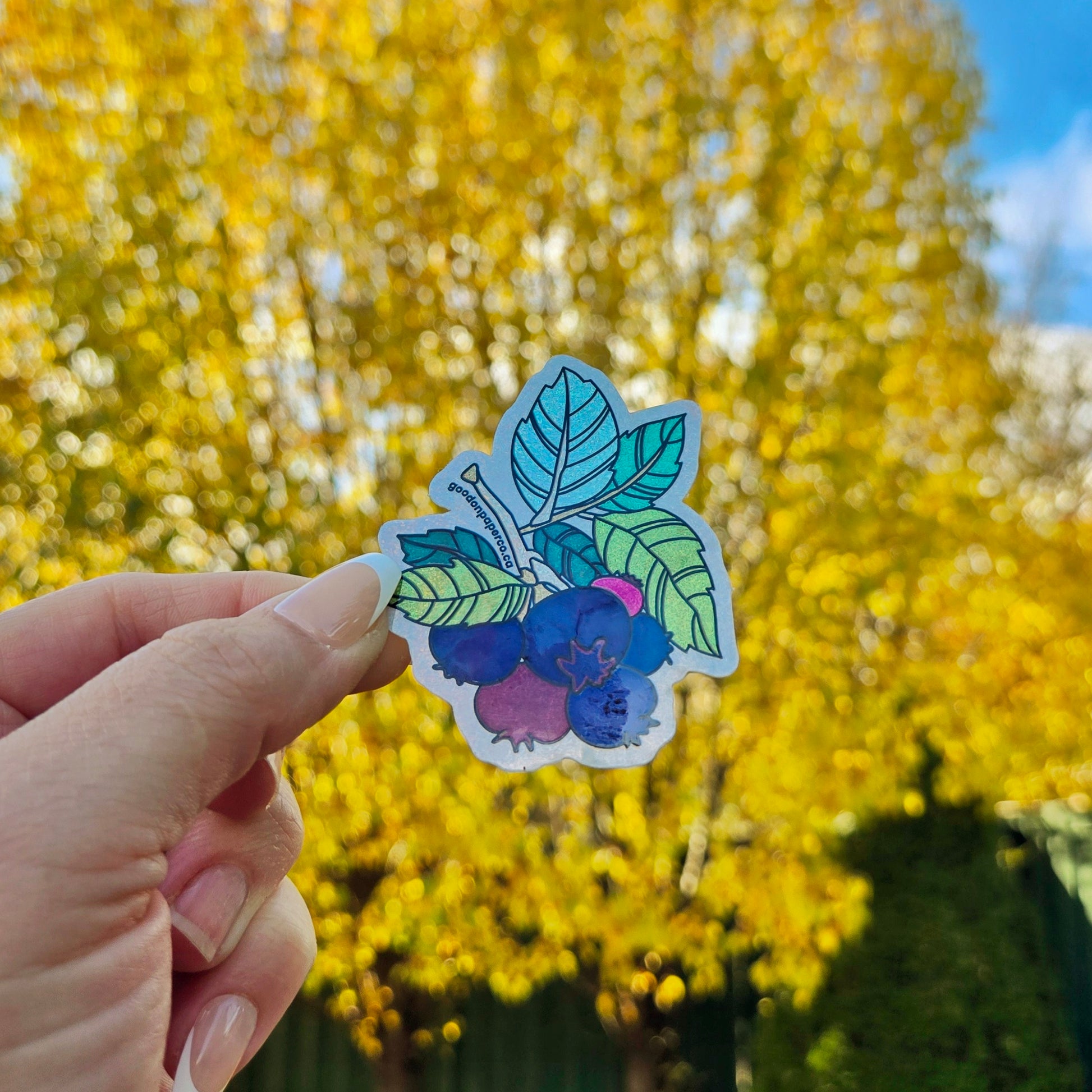 Saskatoons | Vinyl Sticker