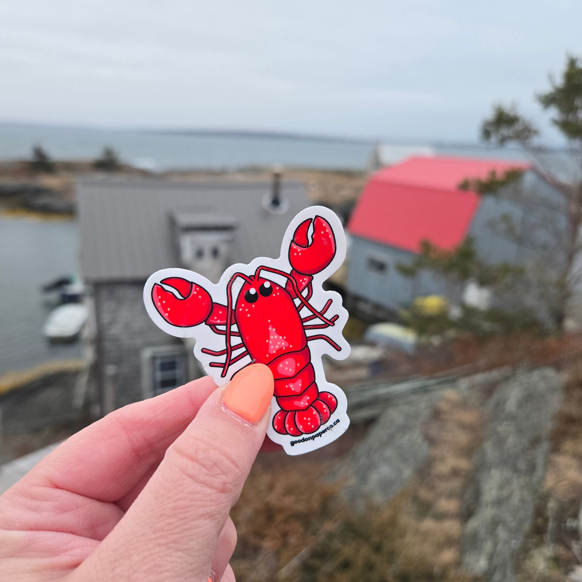 Lobster | Vinyl Sticker
