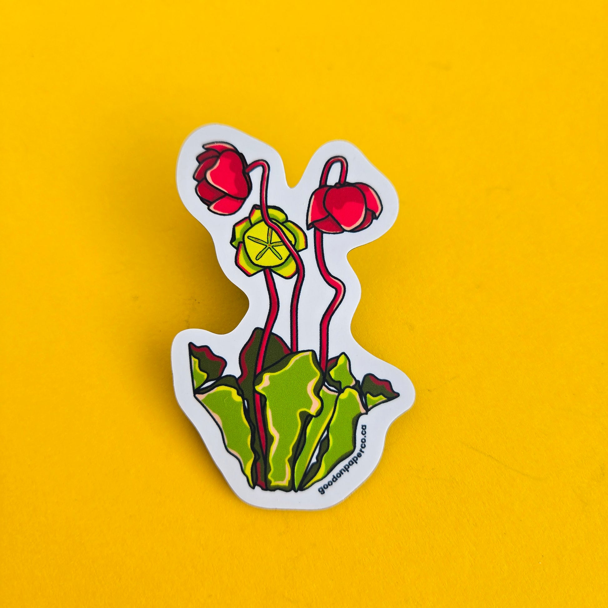 Wholesale | Fridge Magnets | By the Case