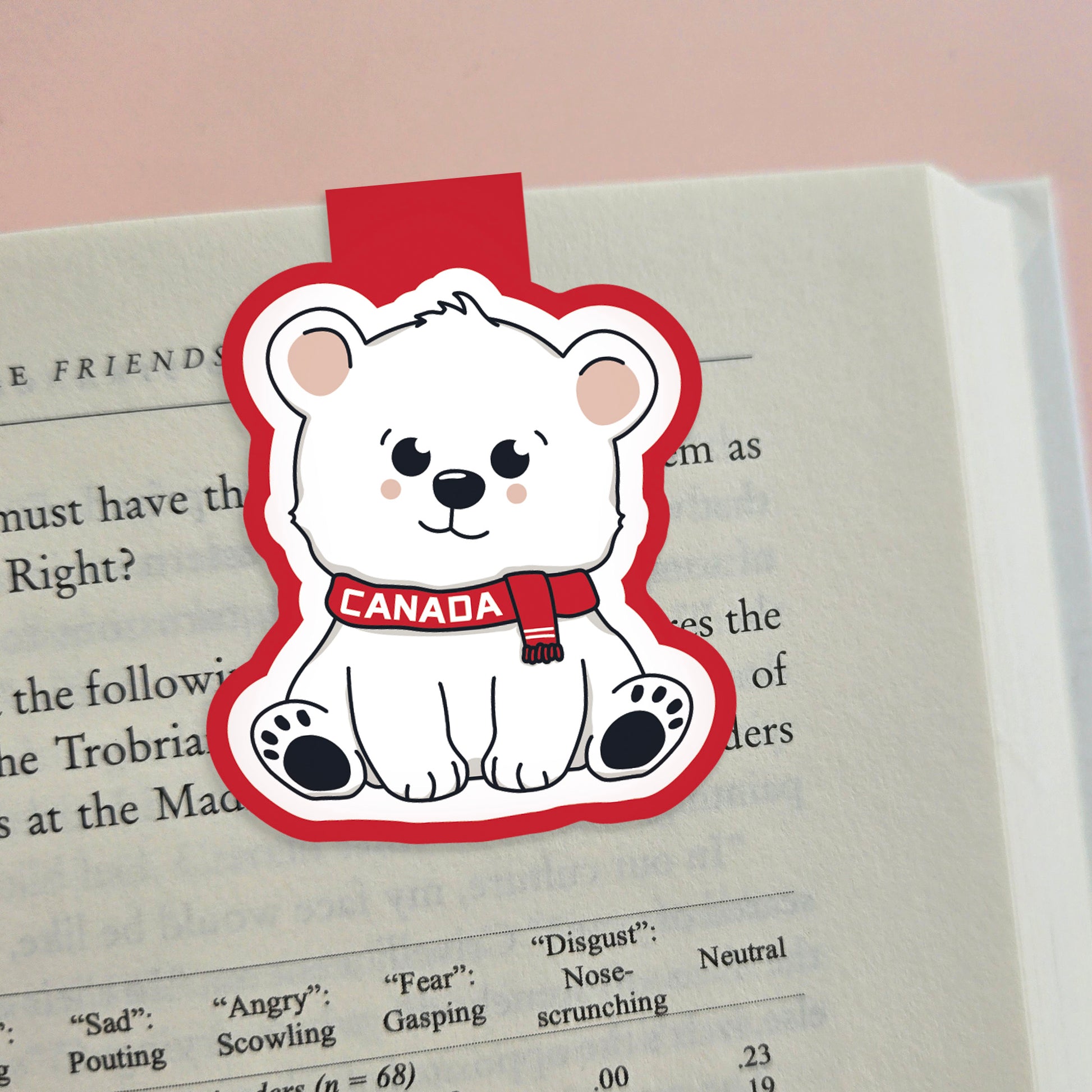 Wholesale | Magnetic Bookmarks | By the Case
