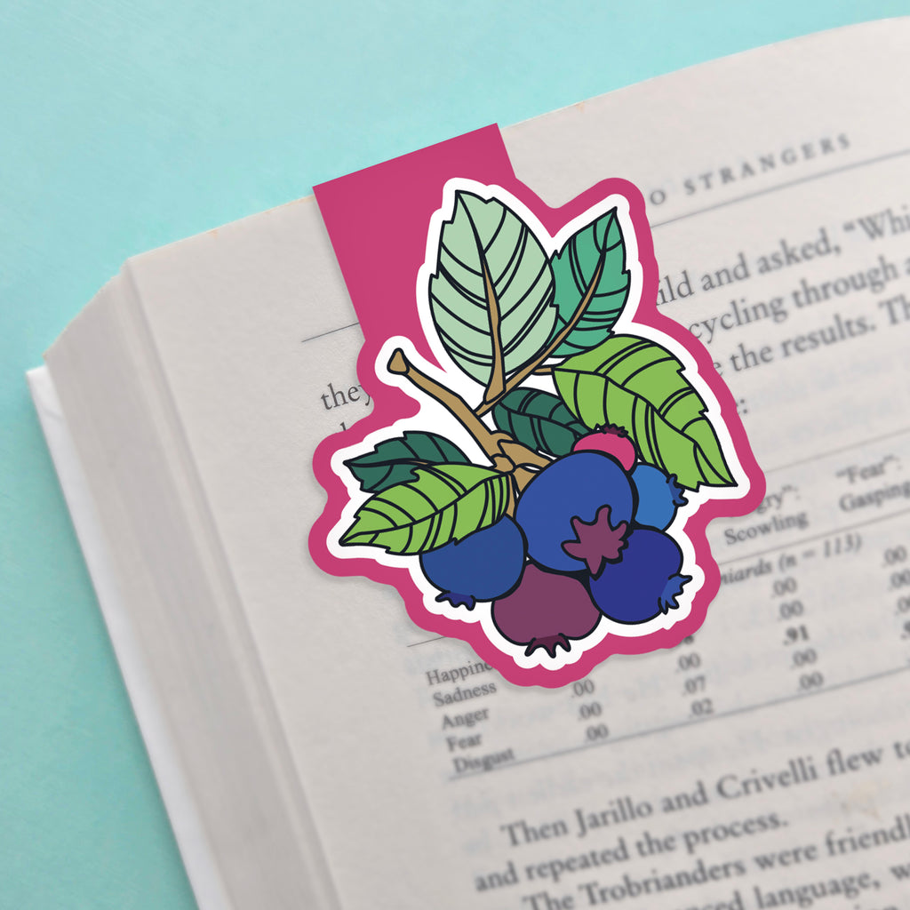 Wholesale | Magnetic Bookmarks | By the Case