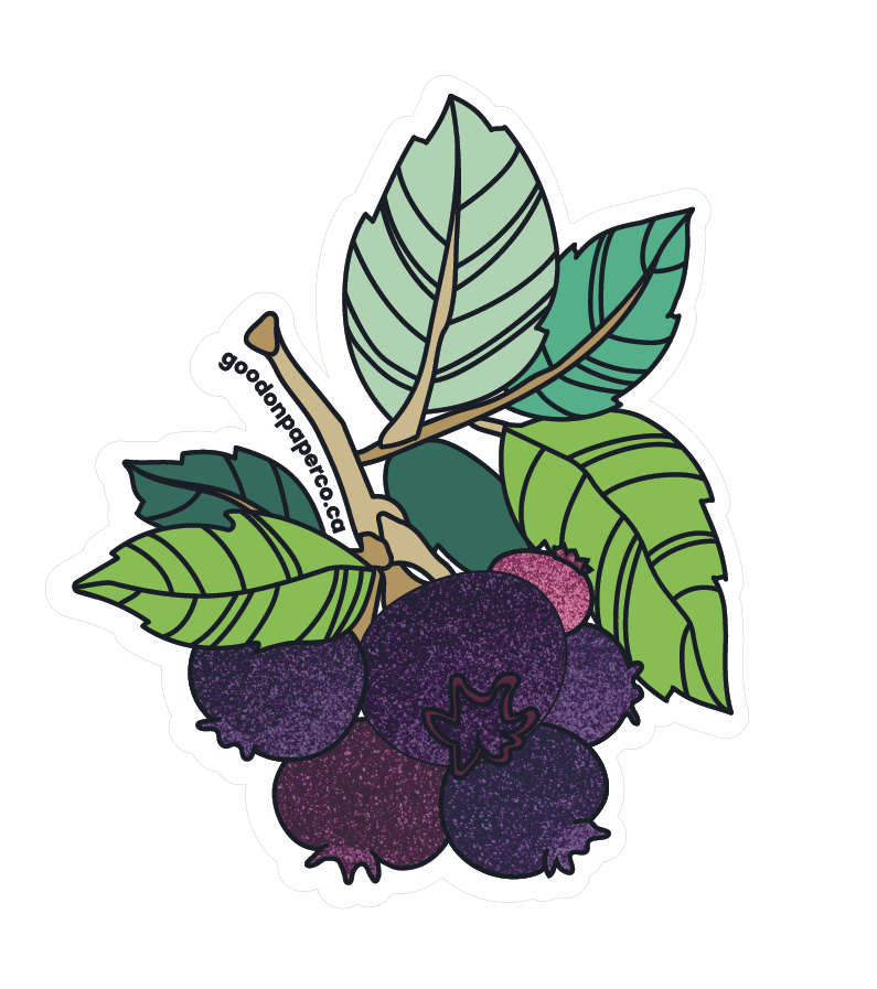 Wholesale | Vinyl Stickers | By the Case