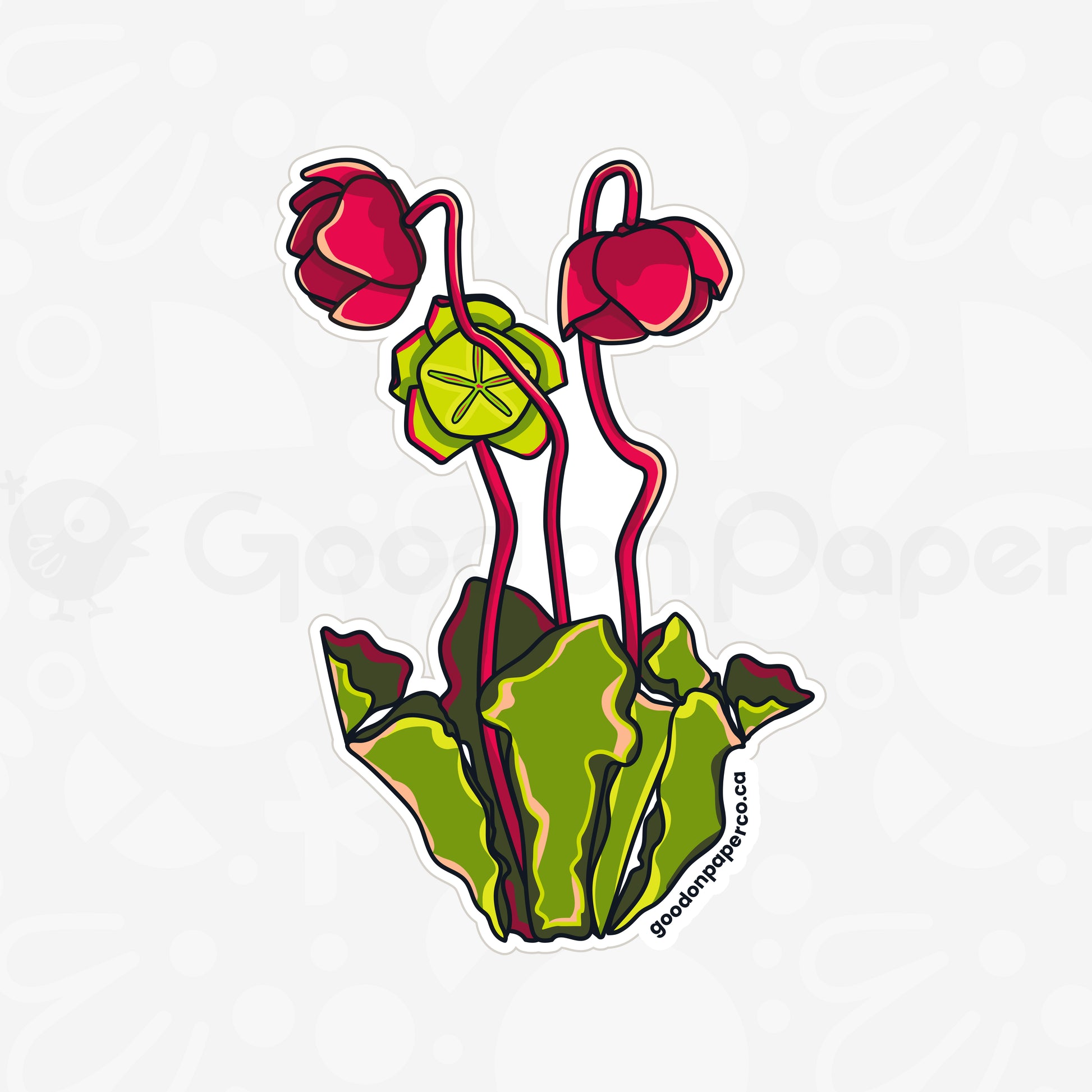 Pitcher Plant | Fridge Magnet