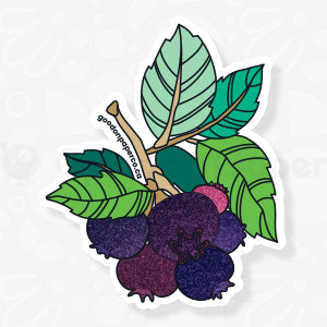 Wholesale | Fridge Magnets | By the Case