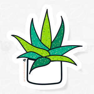 Succulent | Vinyl Sticker