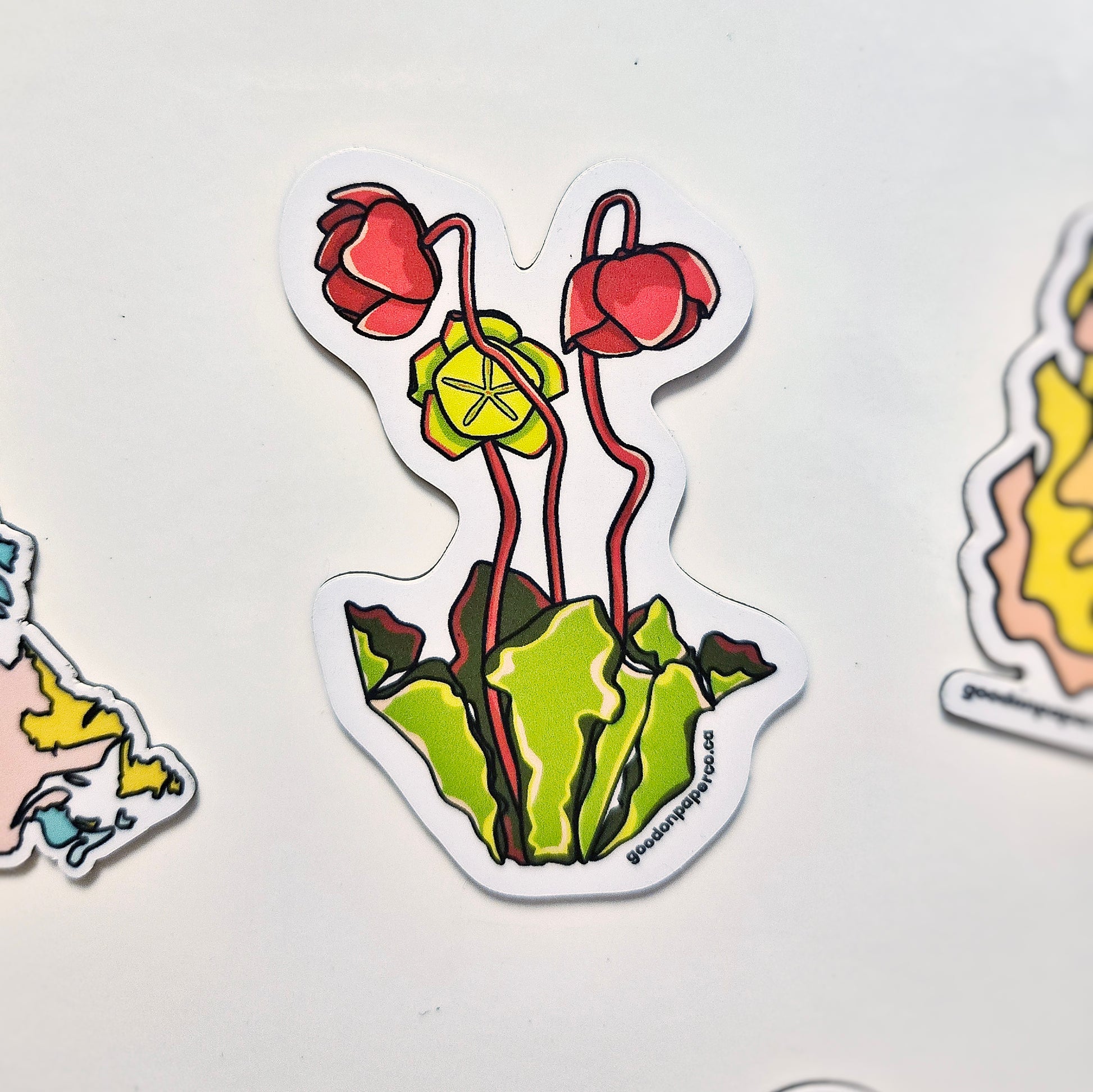 Pitcher Plant | Fridge Magnet
